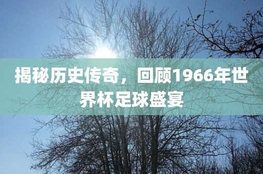 揭秘历史传奇，回顾1966年世界杯足球盛宴