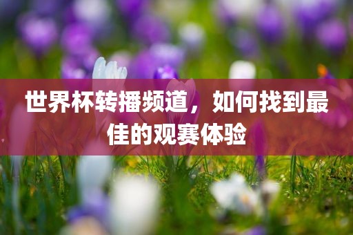 世界杯转播频道，如何找到最佳的观赛体验眉山市正发家政服务有限公司