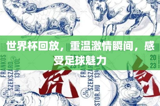 世界杯回放，重温激情瞬间，感受足球魅力眉山市正发家政服务有限公司