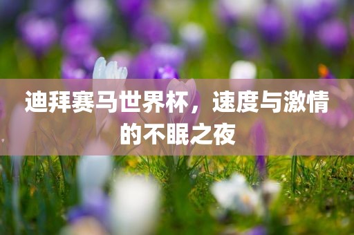迪拜赛马世界杯，速度与激情的不眠之夜