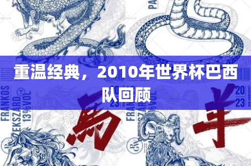 重温经典，2010年世界杯巴西队回顾眉山市正发家政服务有限公司
