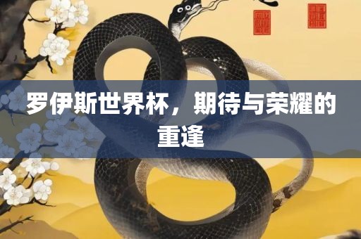 罗伊斯世界杯，期待与荣耀的重逢