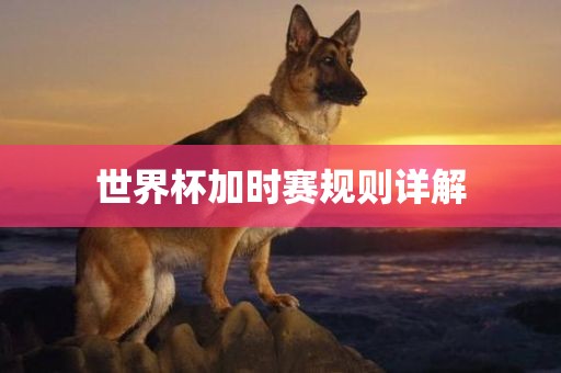 世界杯加时赛规则详解眉山市正发家政服务有限公司