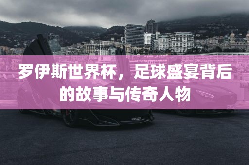 罗伊斯世界杯，足球盛宴背后的故事与传奇人物眉山市正发家政服务有限公司