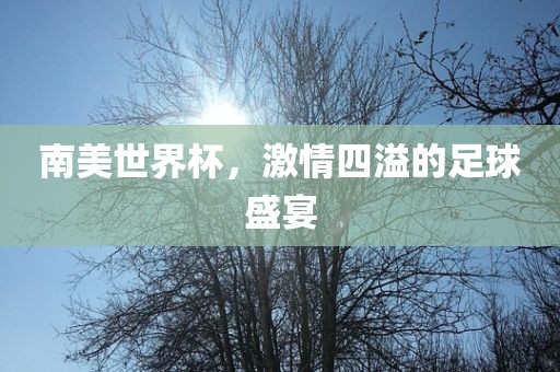 南美世界杯，激情四溢的足球盛宴眉山市正发家政服务有限公司