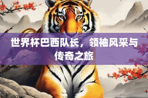 世界杯巴西队长，领袖风采与传奇之旅眉山市正发家政服务有限公司