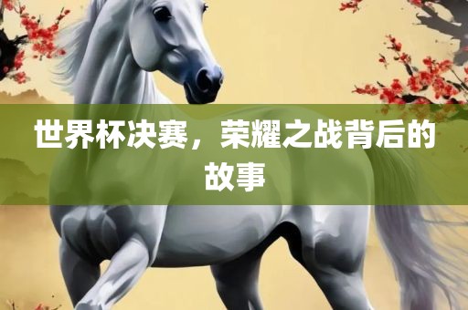 世界杯决赛，荣耀之战背后的故事眉山市正发家政服务有限公司