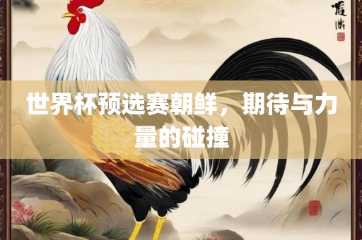 世界杯预选赛朝鲜，期待与力量的碰撞眉山市正发家政服务有限公司