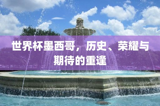 世界杯墨西哥，历史、荣耀与期待的重逢眉山市正发家政服务有限公司
