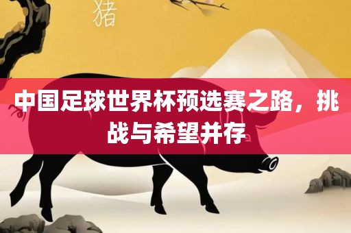 中国足球世界杯预选赛之路，挑战与希望并存