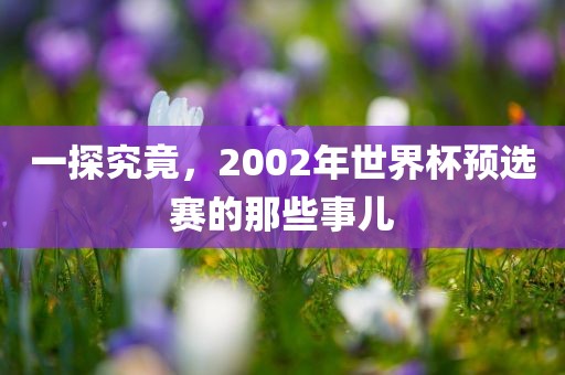 一探究竟，2002年世界杯预选赛的那些事儿眉山市正发家政服务有限公司