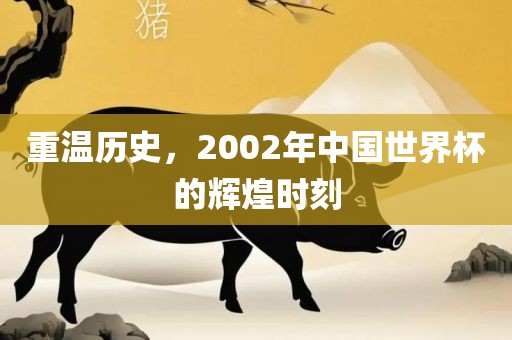 重温历史，2002年眉山市正发家政服务有限公司中国世界杯的辉煌时刻