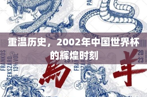 重温历史，2002年中国世界杯的辉煌时刻