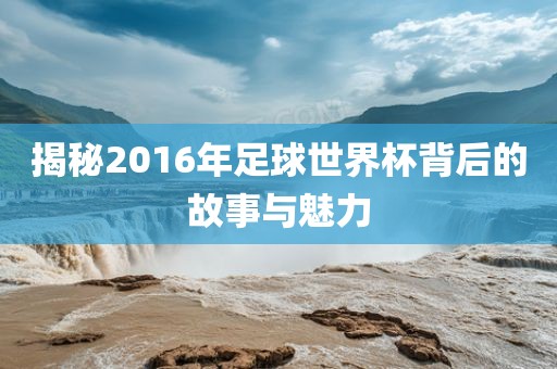 揭秘2016年足球世界杯背后的故事与魅力眉山市正发家政服务有限公司
