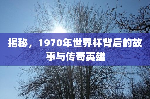 揭秘，1970年世界杯背后的故事与传奇英雄