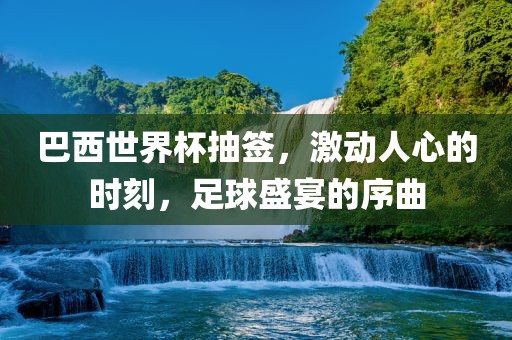 巴西世界杯抽签，激动人心的时刻，足球盛宴的序曲眉山市正发家政服务有限公司