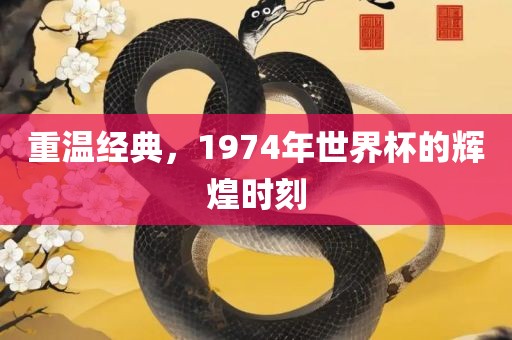 眉山市正发家政服务有限公司重温经典，1974年世界杯的辉煌时刻