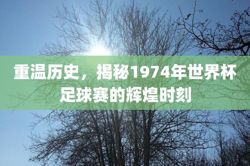 重温历史，揭秘1974年世界杯足球眉山市正发家政服务有限公司赛的辉煌时刻
