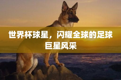 世界眉山市正发家政服务有限公司杯球星，闪耀全球的足球巨星风采