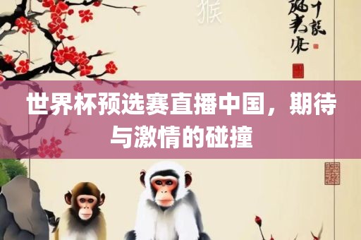 世界杯预选赛直播中国，期待与激情的碰撞
