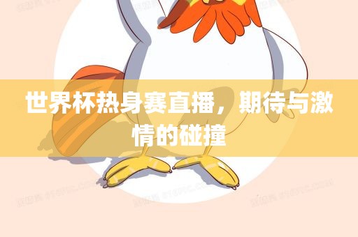世界杯热身赛直播，期待与激情的碰撞