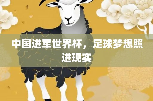 中国进军世界杯，足球梦想照进现实眉山市正发家政服务有限公司