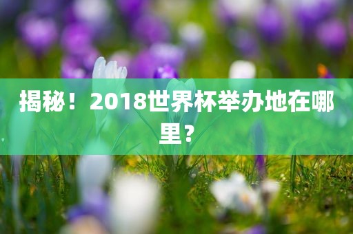 揭秘！2018世界杯举办地在哪里？