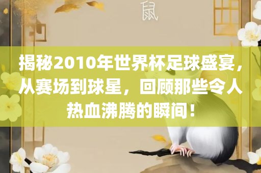揭秘2010年世界杯足球盛宴，从赛场到球星，回顾那些令人热血沸腾的瞬间！