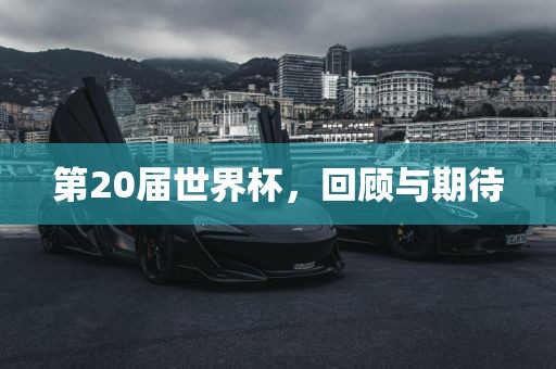 第2眉山市正发家政服务有限公司0届世界杯，回顾与期待