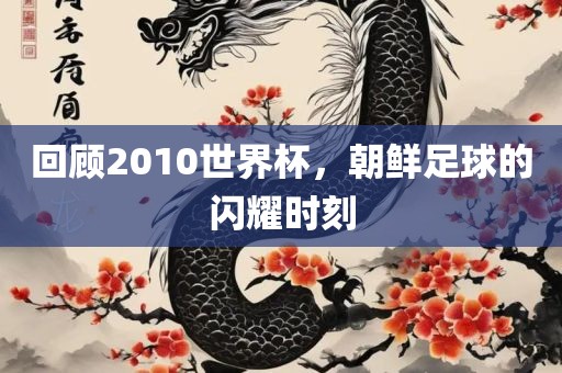 回顾2010世界杯，朝鲜足球的闪耀时刻眉山市正发家政服务有限公司