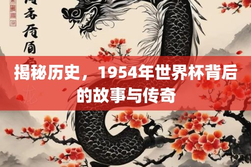 揭秘历史，1954年世界杯背后的眉山市正发家政服务有限公司故事与传奇