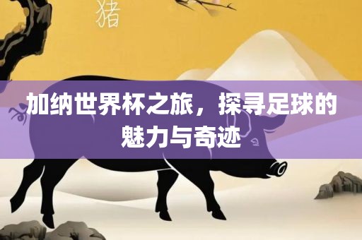 加纳世界杯之旅，探寻足球的魅力与奇迹眉山市正发家政服务有限公司