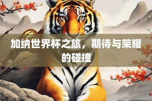 加纳世界杯之旅，期待与荣耀的碰撞