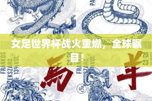 女足世界杯战火重燃，全球瞩目！眉山市正发家政服务有限公司