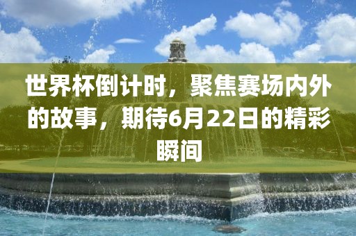 世界杯倒计时，聚焦赛场内外的故事，期待6月22日的精彩瞬间