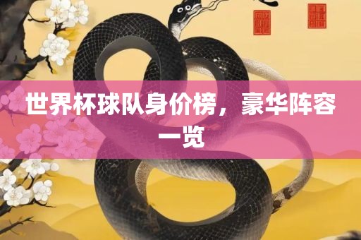 世界杯球队身价榜，豪华阵容一览