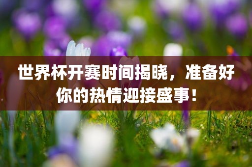 世界杯开赛时间揭晓，准备好你的热情迎接盛事！眉山市正发家政服务有限公司