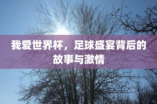 我爱世界杯，足球盛宴背后的故事与激情眉山市正发家政服务有限公司