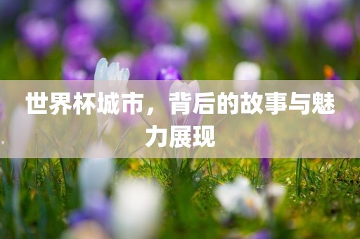 世界杯城市，背后的故事与魅力展现