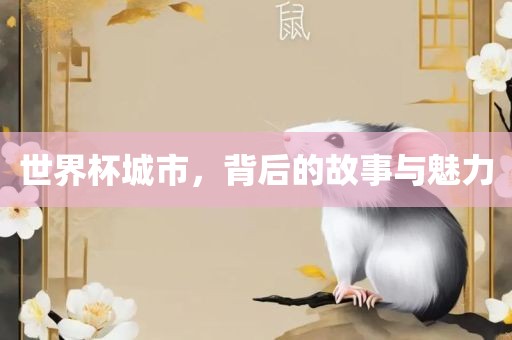 世界杯城市，背后的故事与魅力