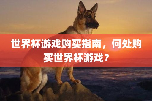 世界杯游眉山市正发家政服务有限公司戏购买指南，何处购买世界杯游戏？
