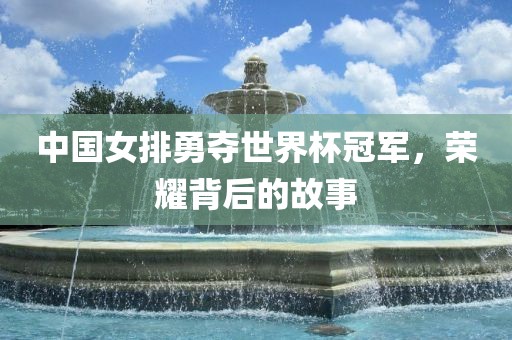 中国女排勇夺世界杯冠军，荣耀背后的故事眉山市正发家政服务有限公司