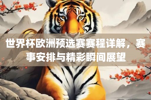 世界杯欧洲预选赛赛程详解，赛事安排与精彩瞬间展望