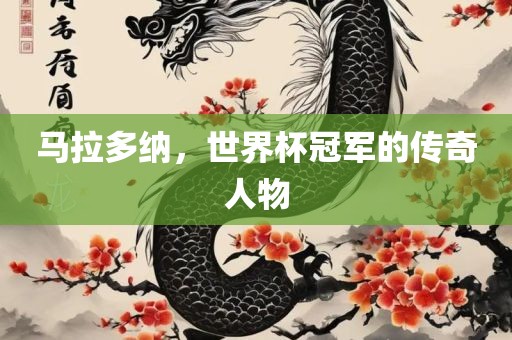 马拉多纳，世界杯冠军的传奇人物