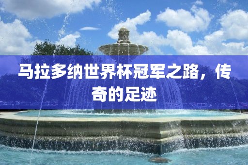马拉多纳世界杯冠军之眉山市正发家政服务有限公司路，传奇的足迹