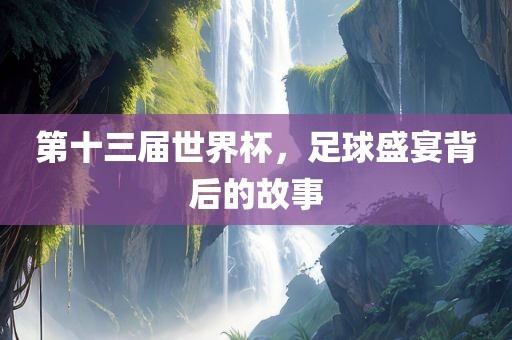 第十三届世界杯，足球盛宴背后的故事眉山市正发家政服务有限公司