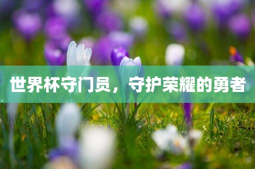 世界杯守门员，守护荣耀的勇者