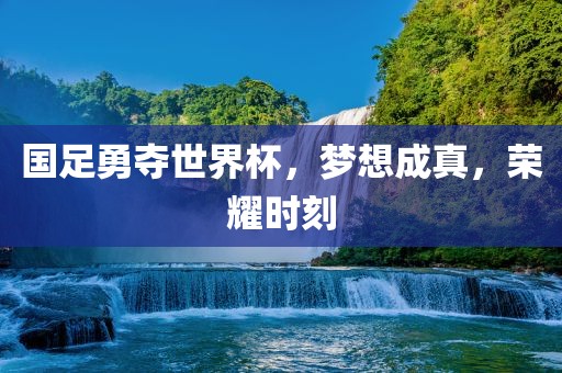 国足勇夺世界杯，梦想成真，荣耀时刻眉山市正发家政服务有限公司