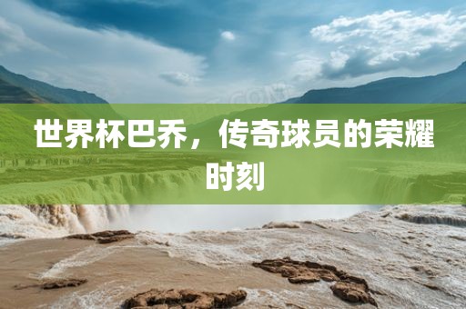 世界杯巴乔，传奇球员的荣耀时刻眉山市正发家政服务有限公司