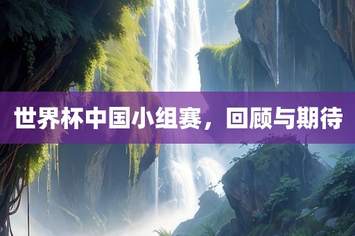 世界杯中国小组赛，回顾与期待眉山市正发家政服务有限公司